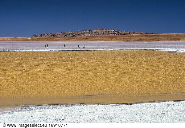 Touristen an der Laguna Hedionda  einem Salzseegebiet im Altiplano von Bolivien