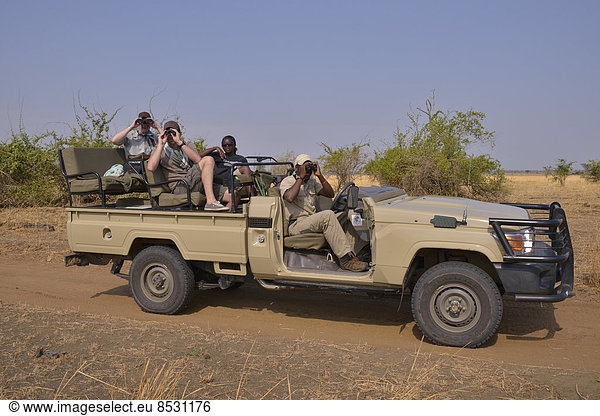 Touristen auf Safari-Fahrzeug Nsefu-Sektor South-Luangwa-Nationalpark Sambia