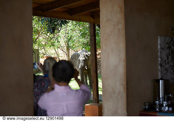 Touristen beim Fotografieren von Elefanten  Sambesi  Sambia