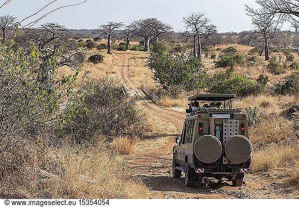 Touristen in einem Safarifahrzeug auf der Suche nach Wildtieren in der Trockensavanne des Ruaha-Nationalparks; Tansania