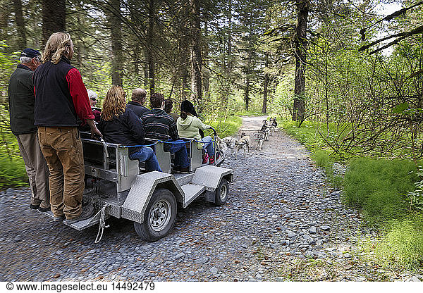Touristen machen eine Fahrt durch den Wald mit Iditarod-Schlittenhunden in einem Sommer-Trainingswagen bei Seavey´s Ididaride Sled Dog Tour in Seward  Alaska