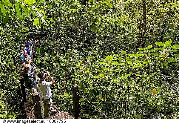 Touristen wandern im Regenwald auf den El Chorro Macho Trails in El Valle de Anton in der Nähe von Panama City  Panama.