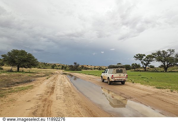 Touristenfahrzeug während der Regenzeit im Flussbett des Aoub  Kalahari-Wüste  Kgalagadi Transfrontier Park  Südafrika  Afrika