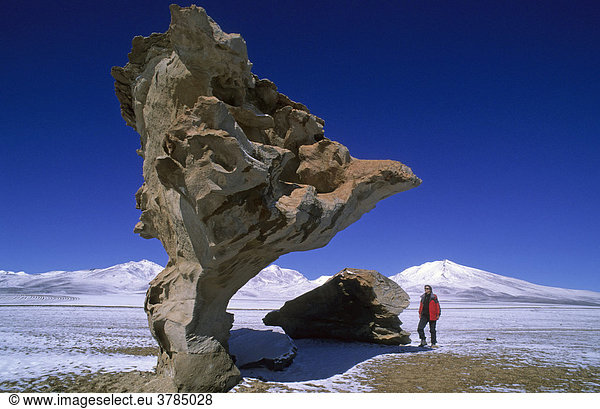 Touristin am Steinernen Baum Arbol de Piedra  Deserto de Siloli  Potosi  Bolivien