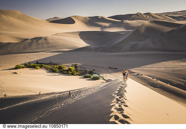 Tourists climbing sand dunes at sunset at Huacachina  a village in the desert  Ica Region  Peru  South America
