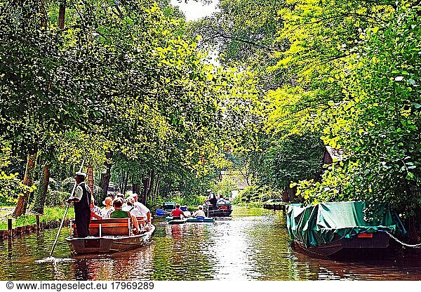 Tourists in a typical barge  in the idyllic Spreewald  Brandenburg  Germany  Europe