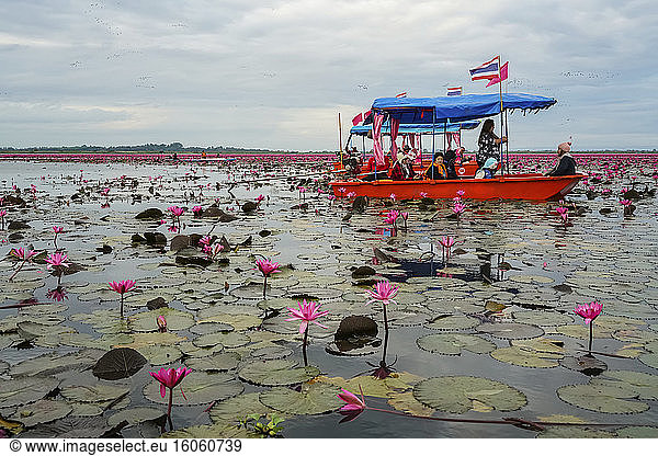 Tourists on Red Lotus Sea; Thailand