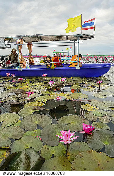 Tourists on Red Lotus Sea; Thailand