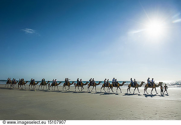 Tourists riding on camels  Cable Beach  Broome  Western Australia