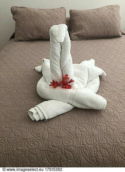 Towels in shape of swans on hotel bed