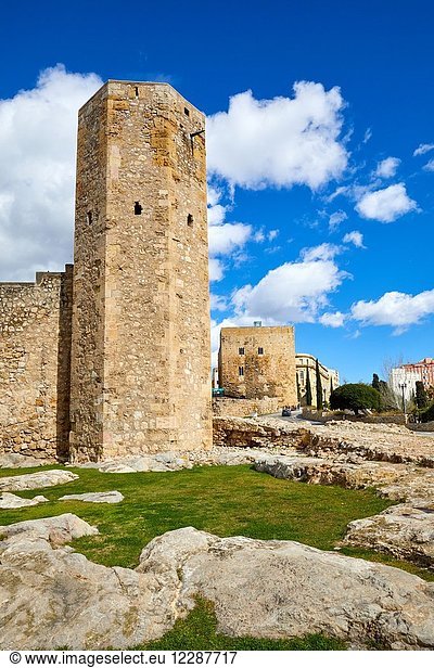 Tower of the Monges  Praetorium and Roman Circus  History Museum of Tarragona (MHT)  Tarragona City  Catalonia  Spain  Europe