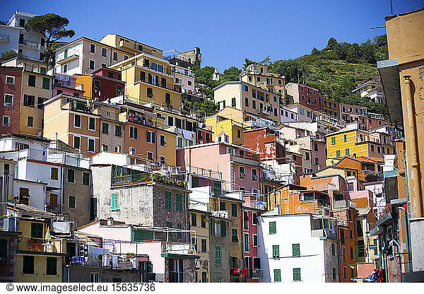 Townscape of Manarola  Liguria  Cinque Terre  Italy