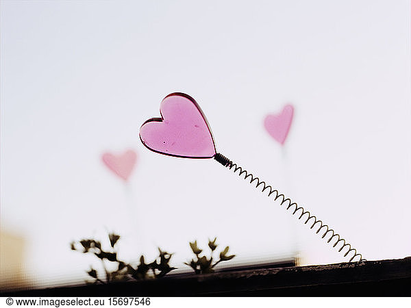 toy  hearts  romance  love