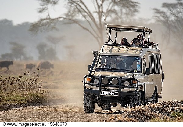 Toyota Typ 79 Land Cruiser Game Viewer fährt auf einer unbefestigten Straße im Lake Nakuru National Park Kenia Afrika