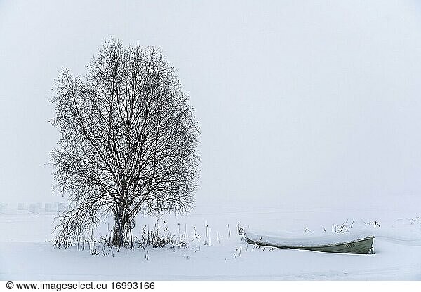 Trübe  neblige  minimalistische weiße Winterlandschaft mit Schnee in der Nähe von Akaslompolo  Finnisch-Lappland  Finnland