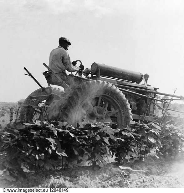 TRACTOR  1937. A farmer using a tractor to plow a cotton field on the Aldridge Plantation in Mississippi. Photograph by Dorothea Lange  June 1937.