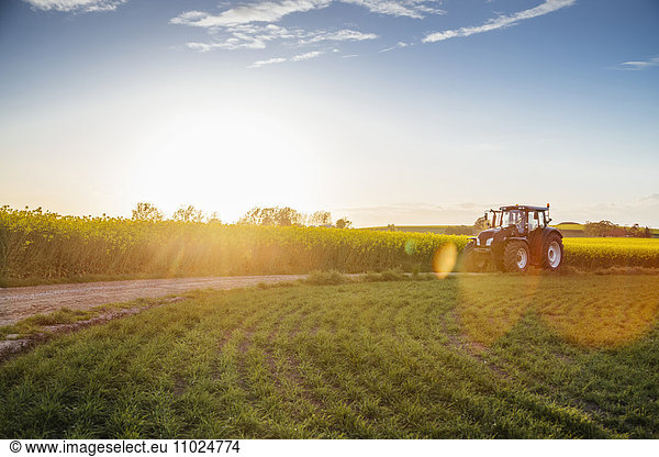 Tractor on dirt road amidst field during sunset