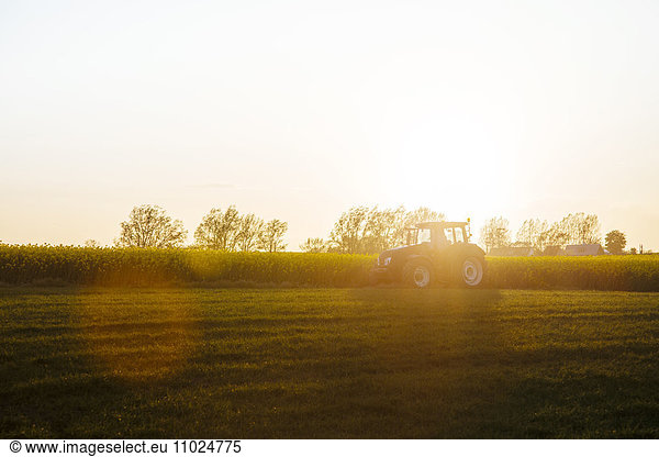 Tractor on field during sunset