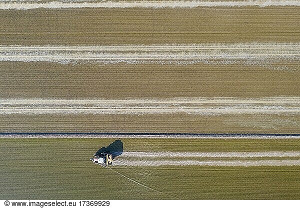 Tractor sowing rice seeds in a flooded rice field in May  aerial view  drone shot  Ebro Delta Nature Reserve  Tarragona province  Catalonia  Spain  Europe