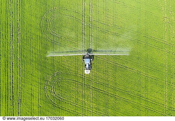 Tractor spraying fungicide onto the rice fields (Oryza sativa)  in July  aerial view  drone shot  Ebro Delta Nature Reserve  Tarragona province  Catalonia  Spain  Europe