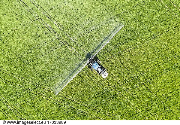 Tractor spraying fungicide onto the rice fields (Oryza sativa). In July. Aerial view. Drone shot. Ebro Delta Nature Reserve  Tarragona province  Catalonia  Spain.