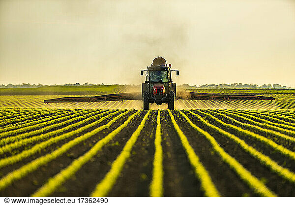 Tractor spraying soybean crops at dusk