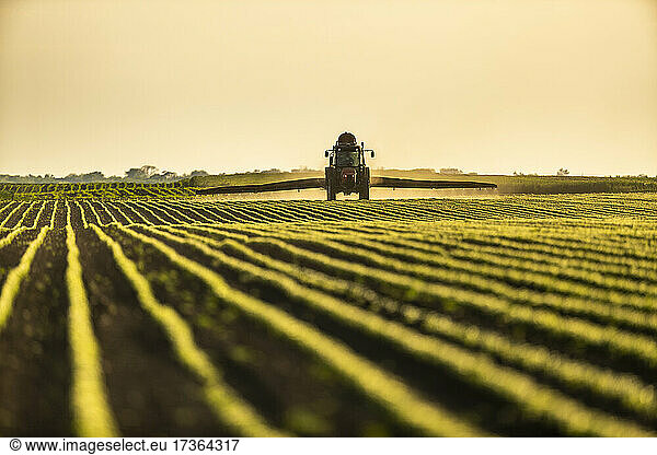 Tractor spraying soybean crops at dusk