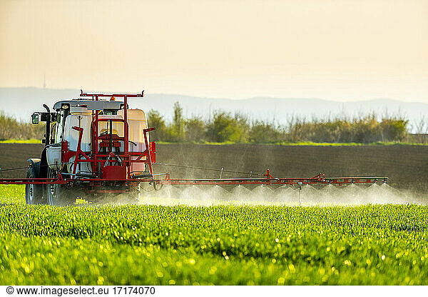 Tractor watering green crop in farm