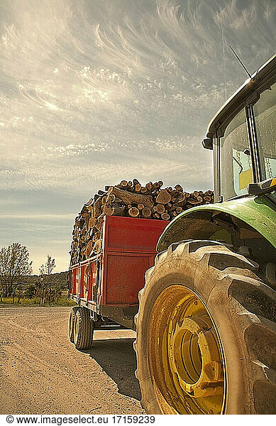 Tractor with trailer filled with freshly cut logs