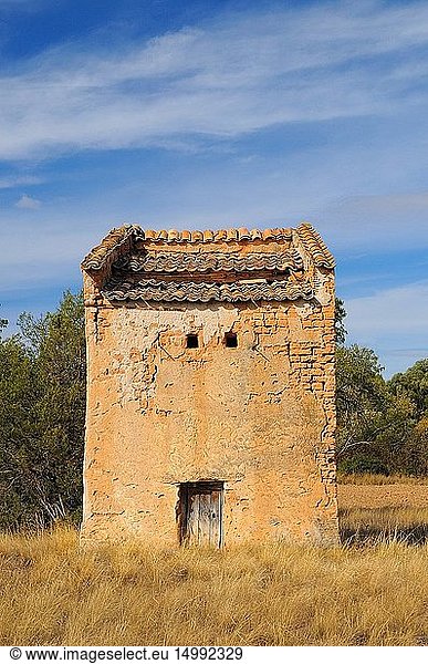 Traditional dovecote. Berlanga de Duero. Soria province. Castilla y Le?n. Spain
