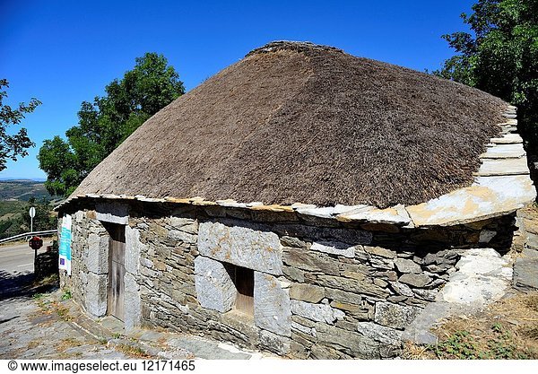 Traditional dwelling or Palloza of Ancares in O Cebreiro  Lugo  Spain.
