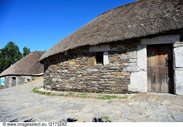 Traditional dwelling or Palloza of Ancares in O Cebreiro  Lugo  Spain.