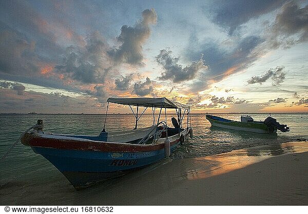 Traditional fishing boats at the beach in Playa Norte at sunset  Isla Mujeres  Cancun  Quintana Roo  Mexico  Central America.