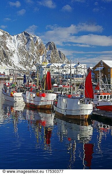 Traditional fishing boats in Svolvaer harbour  snow-capped mountains in winter  Nordland  Lofoten  Austvågøy  Scandinavia  Norway  Europe