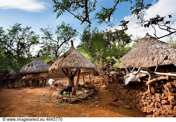 Traditional Konso village on a mountain ridge overlooking the rift valley Inside a family compound The Konso are living in tradtional villages with compunds for each family The compounds are connected by a maze of stone walled and fenced pathways The