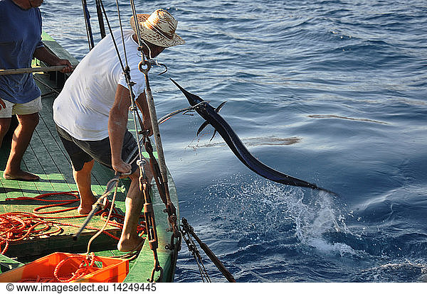 Traditional swordfish fishing  Spearfish  Harpoon  Fisherman  Torre Faro  Stretto di Messina  Messina  Sicily  Italy  Europe