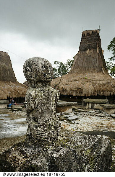Traditional village of Sumba island  Indonesia