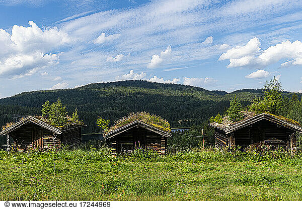 Traditional wooden farmhouses of Vest-Telemark Museum