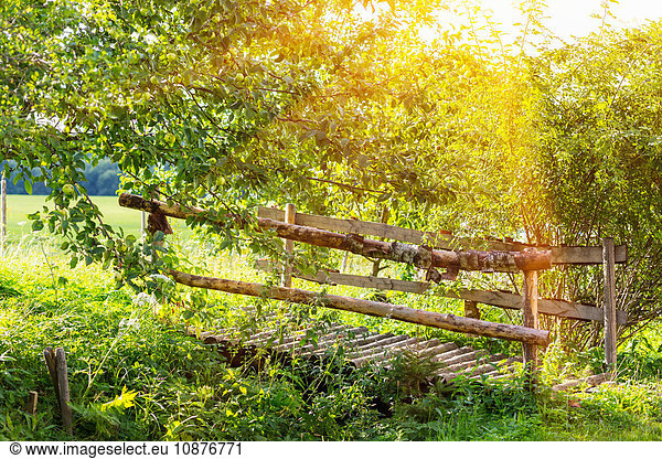 Traditional wooden footbridge crossing field ditch