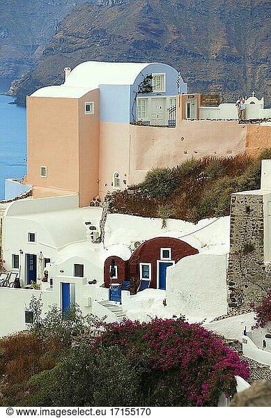 Traditionelle Häuser im Dorf Oia  Insel Santorin  Kykladen  Griechische Inseln  Griechenland  Europa.