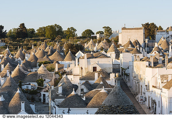 Traditionelle Häuser im Trulli-Stil in Alberobello  UNESCO-Weltkulturerbe  Apulien  Italien  Europa
