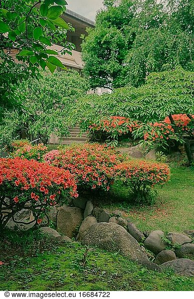 Traditionelle japanische Pflanzen Spring Park