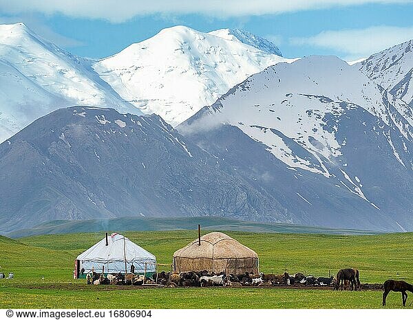 Traditionelle Jurte mit dem Transalai-Gebirge im Hintergrund. Alaj-Tal im Pamir-Gebirge  Asien  Zentralasien  Kirgisistan.