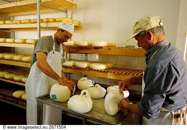 Traditionelle Käseherstellung im Es Tudons Gehöft  Ciutadella. Menorca  Balearen Inseln  Spanien