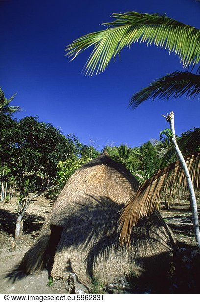 Traditionelle konischen Hütte in Stadt von Soe  West-Timor  Südostasien  Asien