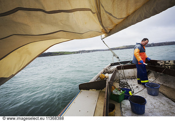 Traditionelle nachhaltige Austernfischerei. Ein Fischer auf einem Segelboot