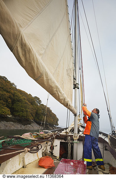 Traditionelle nachhaltige Austernfischerei. Ein Fischer auf seinem Segelboot am Mast.