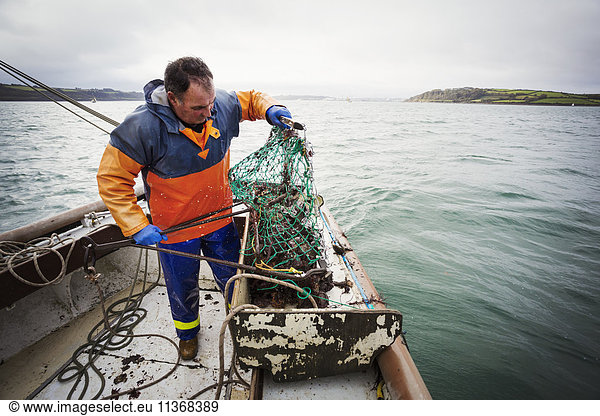 Traditionelle nachhaltige Austernfischerei. Ein Fischer  der ein Fischkutter auf einem Bootsdeck öffnet.