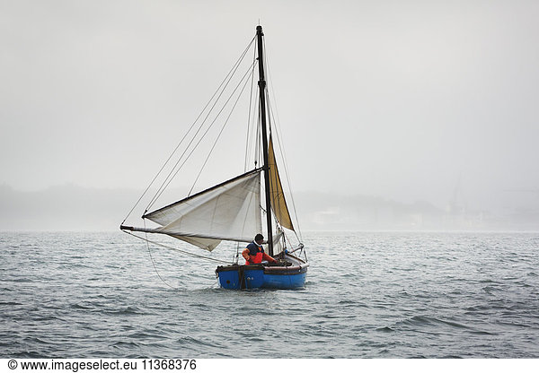 Traditionelle nachhaltige Austernfischerei. Traditionelle Segelboote auf der Flussmündung des Fal.