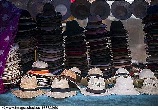 Traditionelle Panamahüte zu verkaufen im Otavalo Markt  Provinz Imbabura  Ecuador